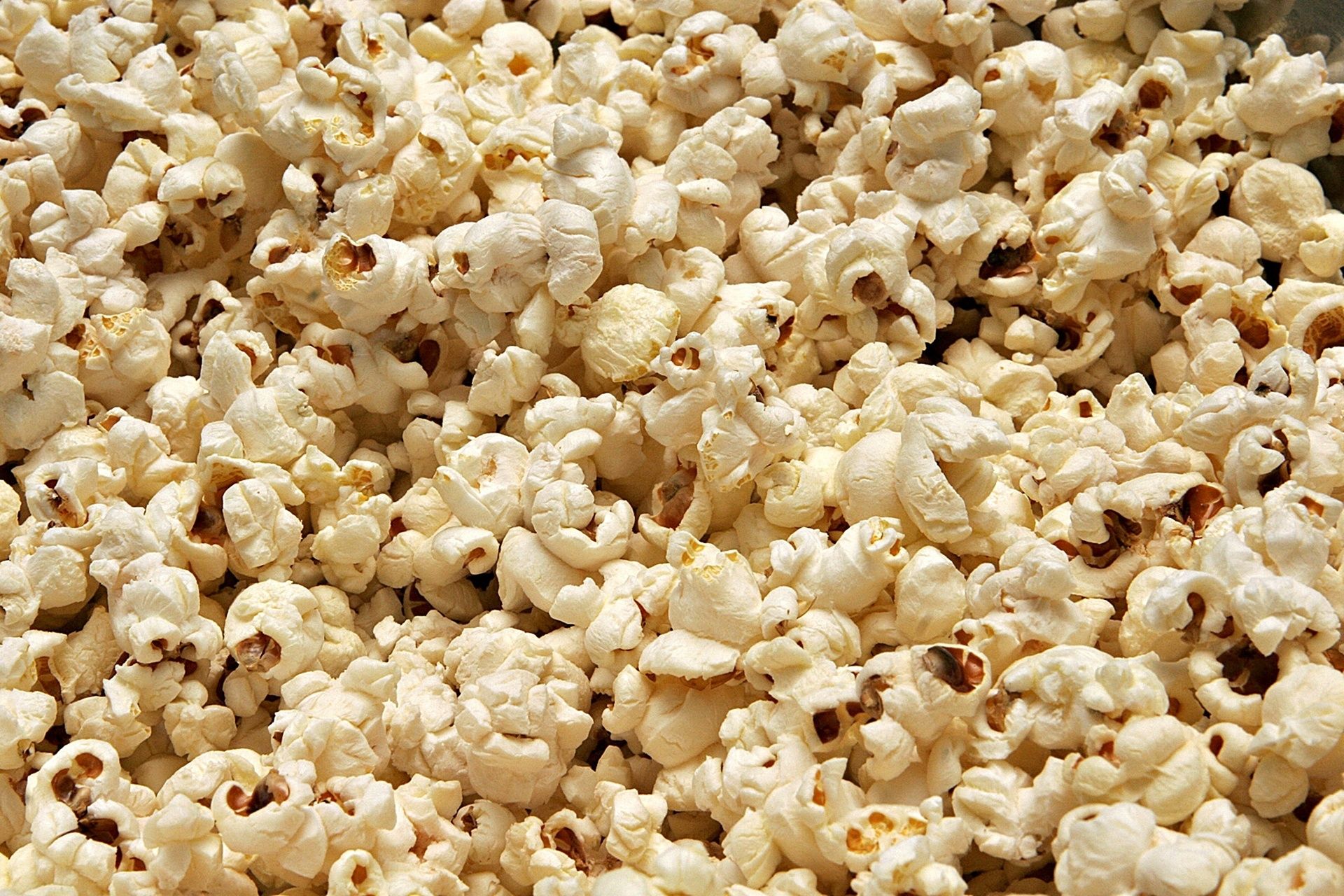 Photobooth Basic <span>inclusief popcornmachine met personeel</span>
